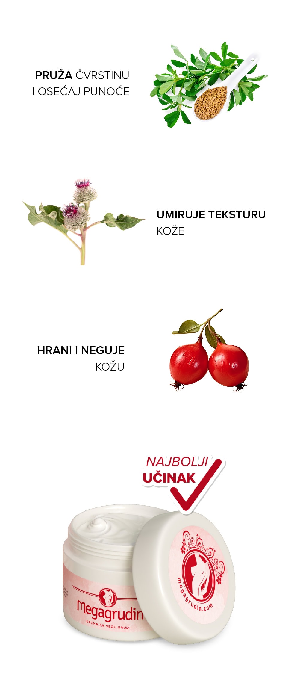 megagrudin sastojci